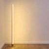 Pipe RGB Staande lamp LED Nikkel mat, 1-licht, Afstandsbediening, Kleurwisselaar