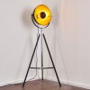 Jupiter Staande lamp Zwart-Goud, 1-licht