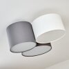 Payette Plafondlamp Wit, 3-lichts