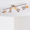 Pulau Plafondlamp Hout licht, Nikkel mat, 4-lichts