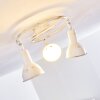 Polmak Plafondlamp Goud, Wit, 3-lichts