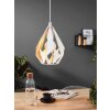 EGLO CARLTON Hanger Goud, Wit, 1-licht