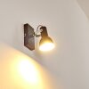 Danikon Muurlamp Bruin, Chroom, 1-licht