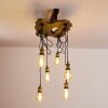 Rimforsa Plafondlamp Bruin, Messing, Roest, 6-lichts
