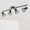 Bolderslev Plafondlamp Chroom, Zwart, 4-lichts