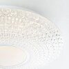Brilliant Lucian Plafondlamp LED Wit, 1-licht, Afstandsbediening, Kleurwisselaar