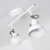 Tina Plafondlamp Wit, 2-lichts