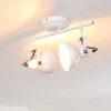Tina Plafondlamp Wit, 2-lichts