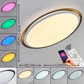 Vejle Plafondlamp LED Wit, 2-lichts, Kleurwisselaar