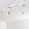 Cahaba Plafondlamp Wit, 6-lichts