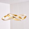 Woyens Hanglamp LED Goud, 1-licht