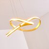 Woyens Hanglamp LED Goud, 1-licht