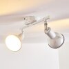 Polmak Plafond spot Goud, Wit, 2-lichts