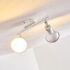 Polmak Plafond spot Goud, Wit, 2-lichts