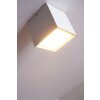 Helestra LED Plafondlamp Aluminium, Wit, 1-licht