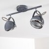 Foverup Plafondlamp Chroom, Grijs, 2-lichts