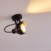 Rahway Plafondlamp Zwart, 1-licht