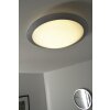 Trio GONZALO Plafondlamp LED Titan, Wit, 1-licht