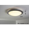 Trio GONZALO Plafondlamp LED Titan, Wit, 1-licht