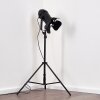 Lichinga Staande lamp Zwart, 1-licht