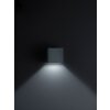 Helestra SIRI 44 Muurlamp LED Zwart, 1-licht