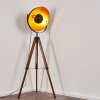 Jupiter Staande lamp Bruin, Hout donker, Zwart, 1-licht