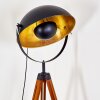 Jupiter Staande lamp Bruin, Hout donker, Zwart, 1-licht