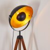 Jupiter Staande lamp Bruin, Hout donker, Zwart, 1-licht