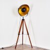 Jupiter Staande lamp Bruin, Hout donker, Zwart, 1-licht
