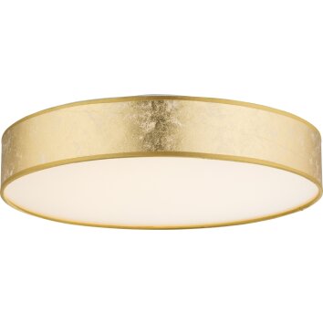 Globo Amy Plafondlamp LED Wit, 1-licht