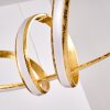 Woyens Hanglamp LED Goud, 1-licht