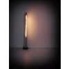 Globo STATT Staande lamp LED Zwart, 1-licht