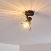 Holbol Plafondlamp Zwart, 1-licht