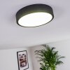 Kragos Plafondlamp LED Zwart, 1-licht