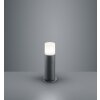 Trio HOOSIC Buiten staande lamp Antraciet, 1-licht