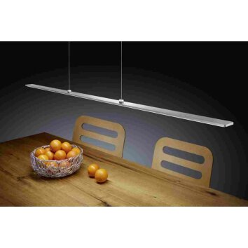 Helestra LEXX Hanglamp LED Chroom, Nikkel mat, 1-licht