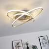 Krabi Plafondlamp LED Nikkel mat, 3-lichts, Afstandsbediening