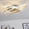 Krabi Plafondlamp LED Nikkel mat, 3-lichts, Afstandsbediening