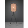 Trio Runa Staande lamp Zwart, 1-licht