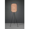 Trio Runa Staande lamp Zwart, 1-licht