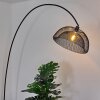 Pralo Staande lamp Zwart, 1-licht