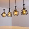 Walterswald Hanglamp Zwart, 4-lichts