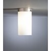 Tecnolumen DMB 31 Plafondlamp Nikkel mat, 1-licht