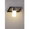 Trio CLAPTON Muurlamp LED Aluminium, Chroom, roestvrij staal, 1-licht