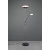 Reality Orson Staande lamp LED Zwart, 2-lichts