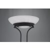 Reality Orson Staande lamp LED Zwart, 2-lichts