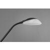 Reality Orson Staande lamp LED Zwart, 2-lichts