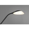 Reality Orson Staande lamp LED Zwart, 2-lichts