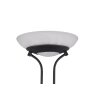 Reality Orson Staande lamp LED Zwart, 2-lichts