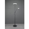 Reality Orson Staande lamp LED Zwart, 2-lichts